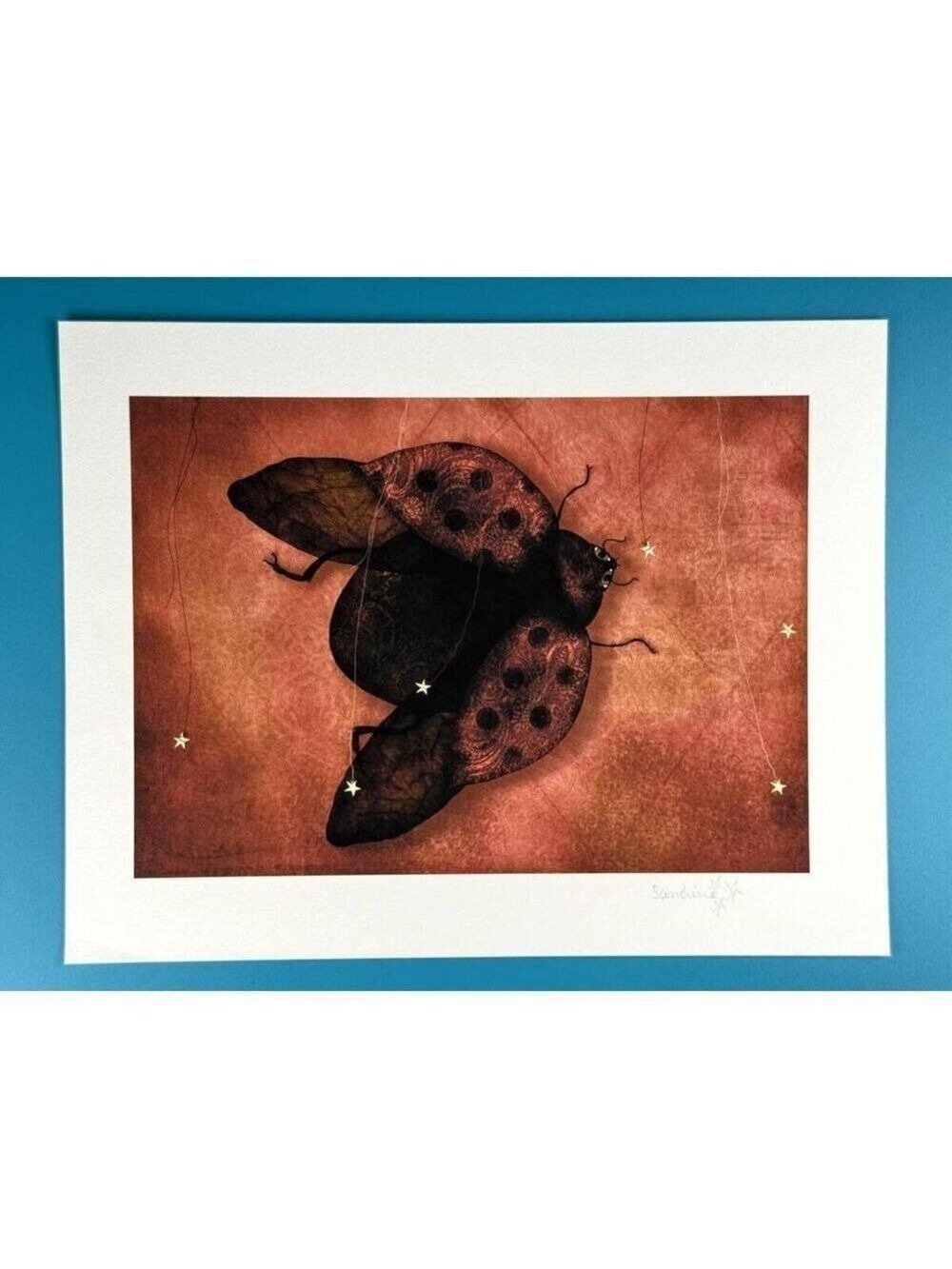 Sandrine Mercier Ladybug Stars Insect Illustration Signed Giclee Art Print